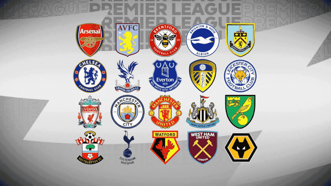 古德温定位 古德温定位